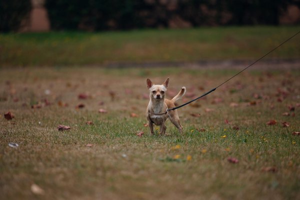 What Tips Help You Identify Quality UK Women's Fashion?